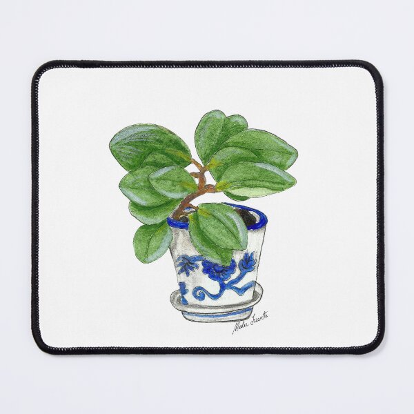 Item preview,  Illustration of Peperomia obtusifolia in pot, in watercolor designed and sold by Malu-Iriarte.