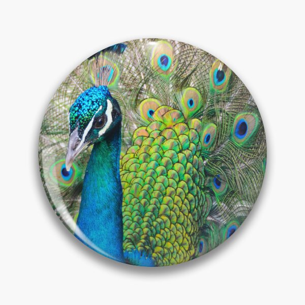 Item preview, Wild Peacock  designed and sold by newburyboutique.
