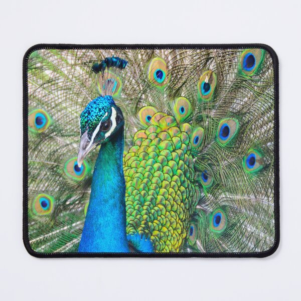 Item preview, Wild Peacock designed and sold by newburyboutique.