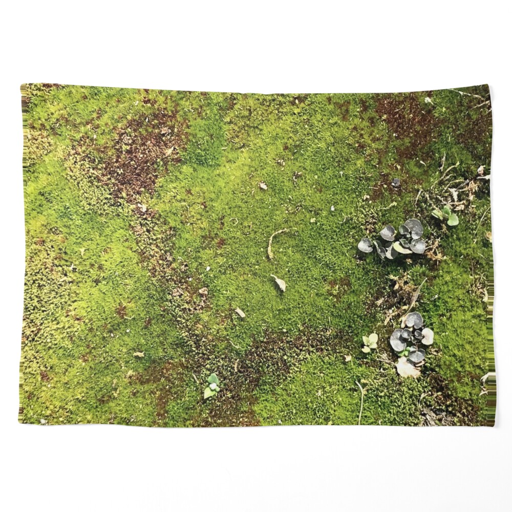 World of Moss Throw Blanket for Sale by BJEdesign