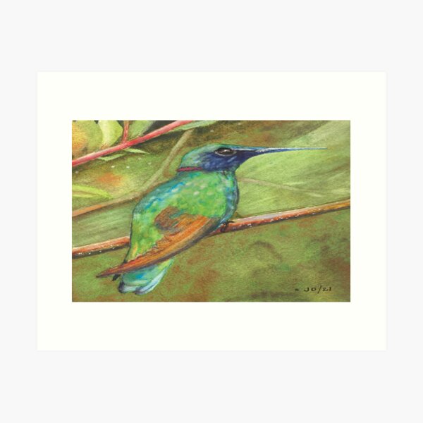 Sitting Pretty 2 Art Print