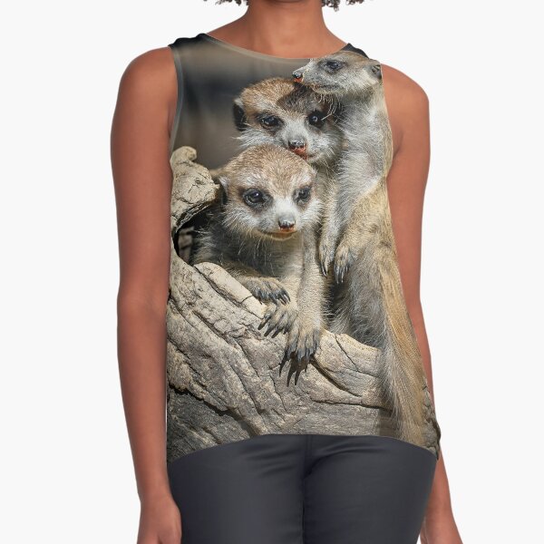 Turbefi Meerkat T-Shirt