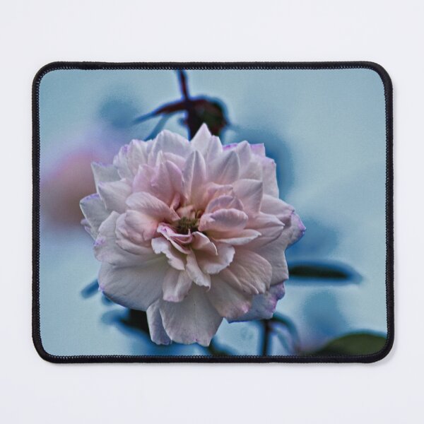 Item preview, One Pink Rose in the Wind designed and sold by Anna Lemos.