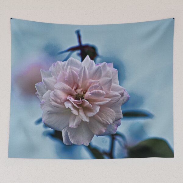 Item preview, One Pink Rose in the Wind designed and sold by Anna Lemos.
