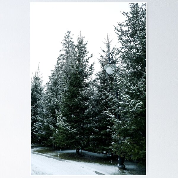 Item preview, conifer trees snowy day carpathian ski resort designed and sold by ZAIKY DREAMS.