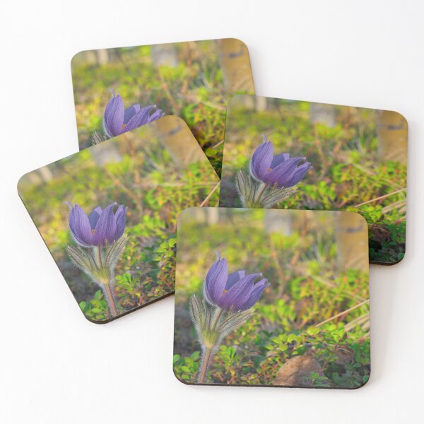 Item preview, Spring Crocus designed and sold by mahnkephotos.