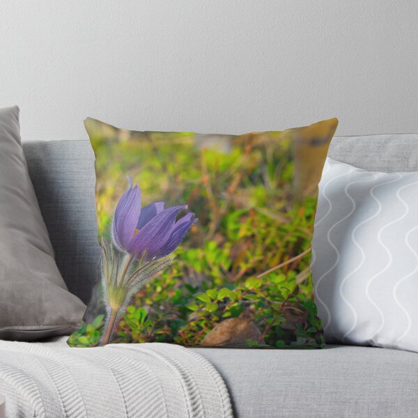 Item preview, Spring Crocus designed and sold by mahnkephotos.