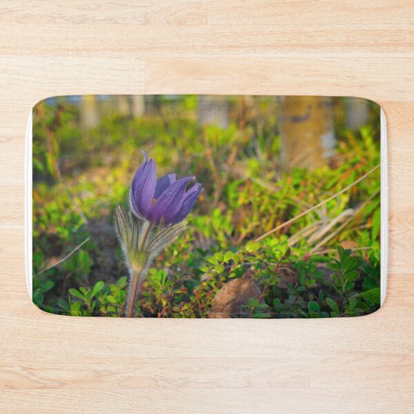Item preview, Spring Crocus designed and sold by mahnkephotos.