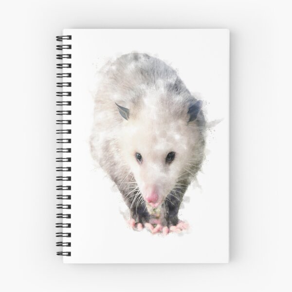 Item preview, Opossum Watercolour Artwork  designed and sold by Typeglyphs.