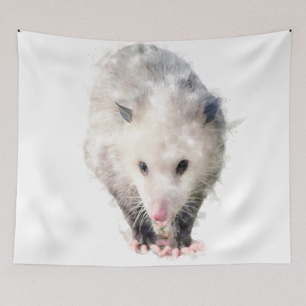 Artikelvorschau, Opossum-Aquarell-Grafik entworfen und verkauft von Typeglyphs.