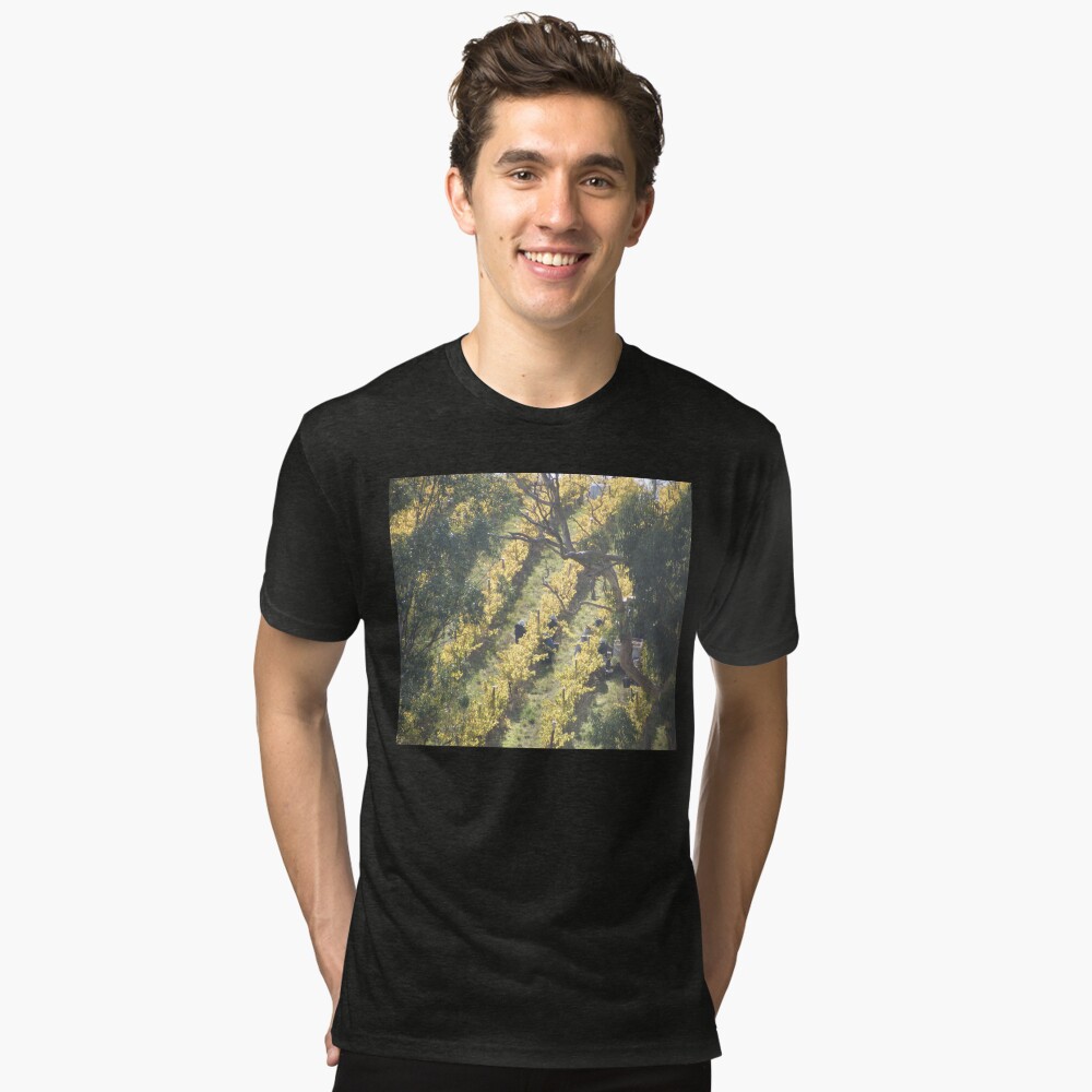 Item preview, Tri-blend T-Shirt designed and sold by MagpieSprings.