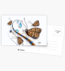 Schmetterlinge und Regentropfen Postkarten