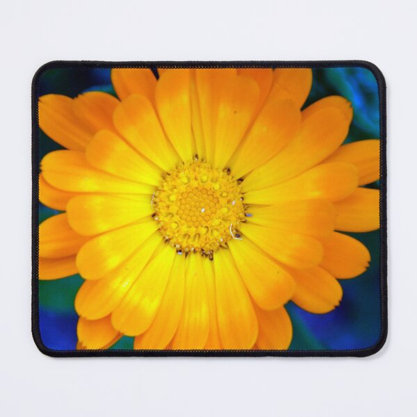 Item preview, Callendula at Magpie Springs by Avril Thomas designed and sold by MagpieSprings.