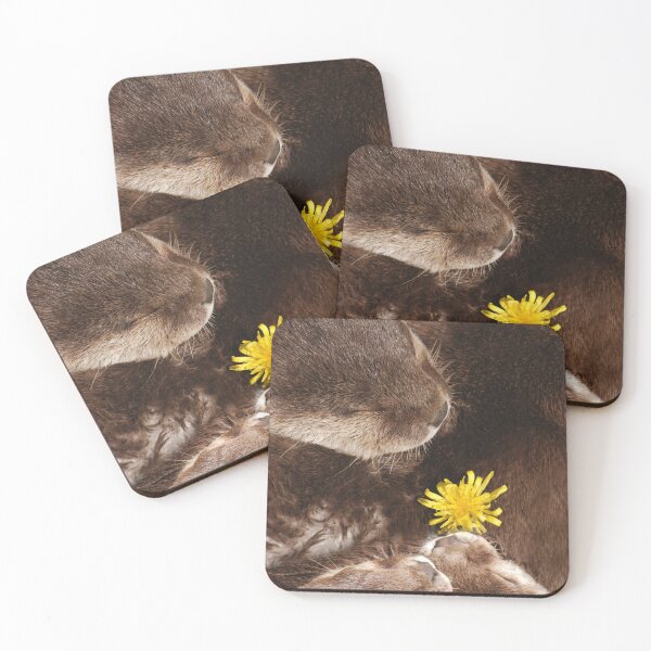 Item preview, Otterly Cute Flower Power designed and sold by rawshutterbug.