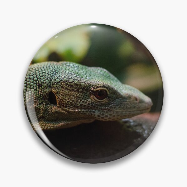 Item preview, Monitor Lizard 2 designed and sold by greglarro.