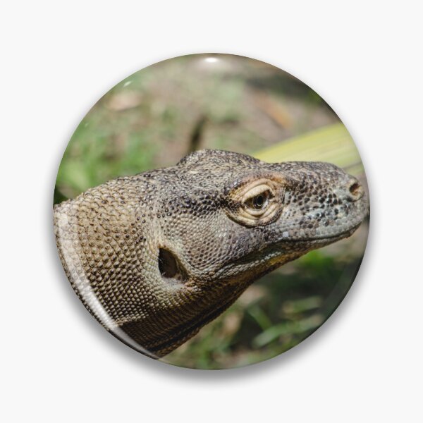 Item preview, Komodo Dragon 2 designed and sold by greglarro.