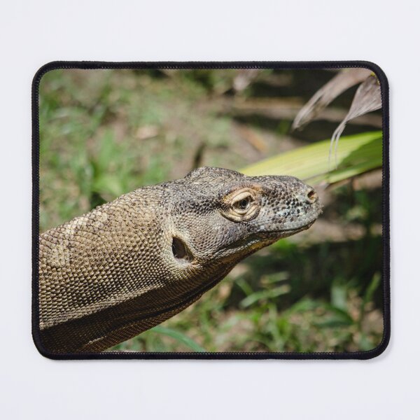 Item preview, Komodo Dragon 2 designed and sold by greglarro.