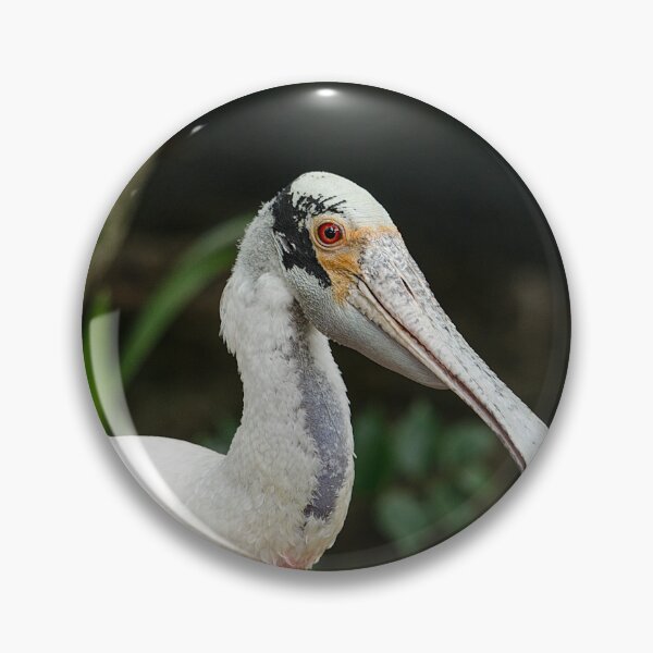 Item preview, Roseate Spoonbill designed and sold by greglarro.