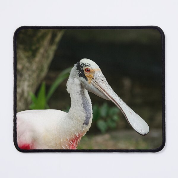 Item preview, Roseate Spoonbill designed and sold by greglarro.