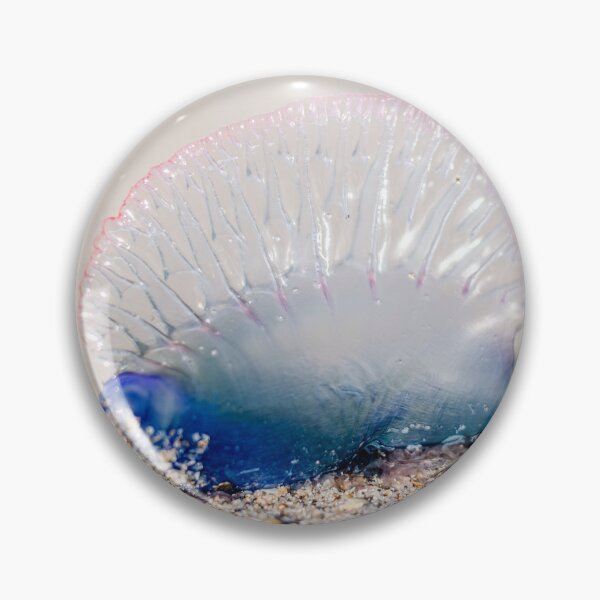 Item preview, Atlantic Portuguese Man o' War designed and sold by greglarro.