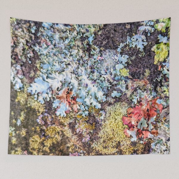 Item preview, Lichen 1 designed and sold by JillyBeanDesign.