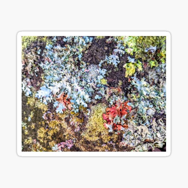 Item preview, Lichen 1 designed and sold by JillyBeanDesign.