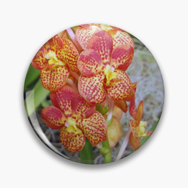 Item preview, orchid bunch designed and sold by treborbob.