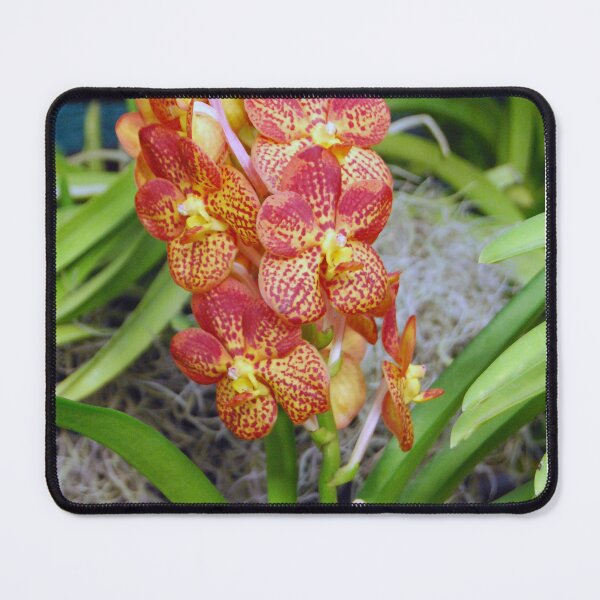 Item preview, orchid bunch designed and sold by treborbob.