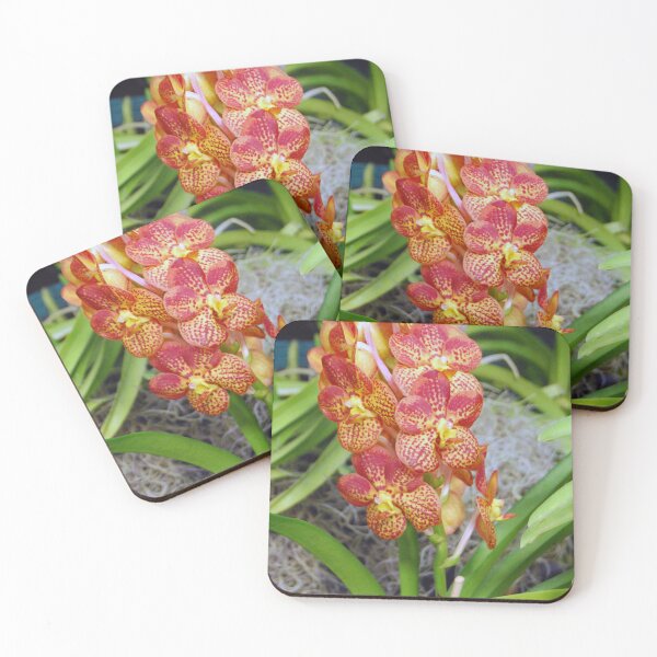 Item preview, orchid bunch designed and sold by treborbob.