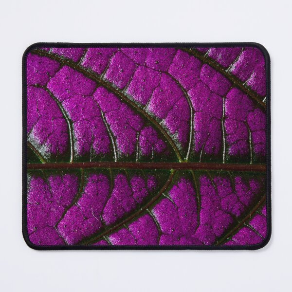 Item preview, Persian Shield Plant Leaf Macro designed and sold by PhotosByFelix.
