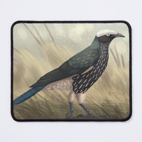 Item preview, White crowned starling designed and sold by DragonArtist15.