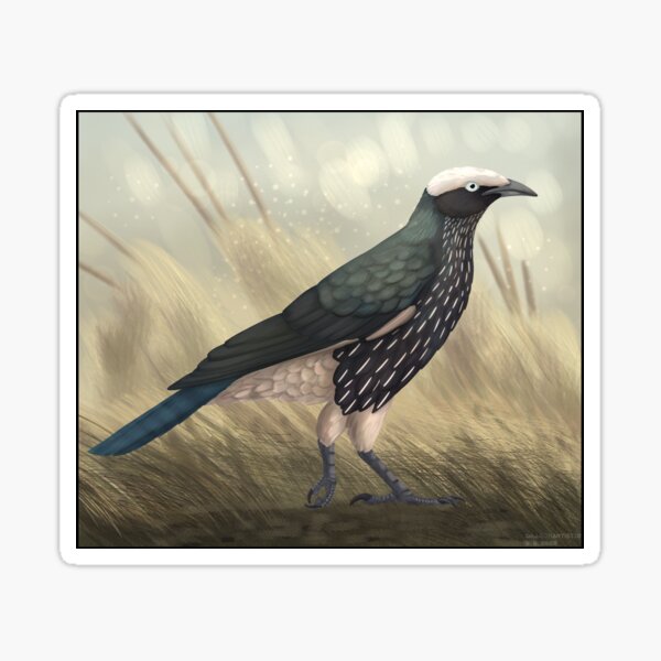 Item preview, White crowned starling designed and sold by DragonArtist15.