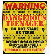 13th Birthday Funny Teenager Design - Warning Dangerous Teenager Poster