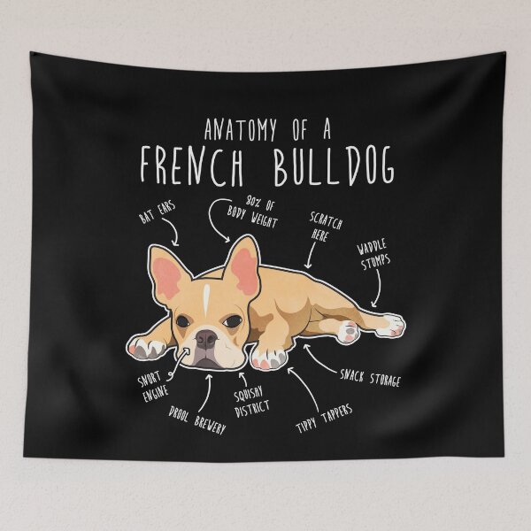 Item preview, French Bulldog Anatomy designed and sold by Clara Hollins.