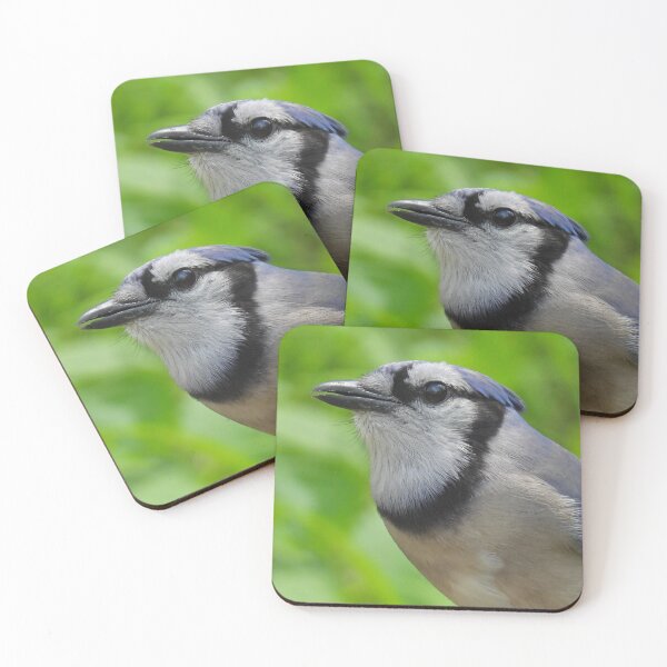 Item preview, Curious Blue Jay with Green Behind designed and sold by TheSplitWindow.