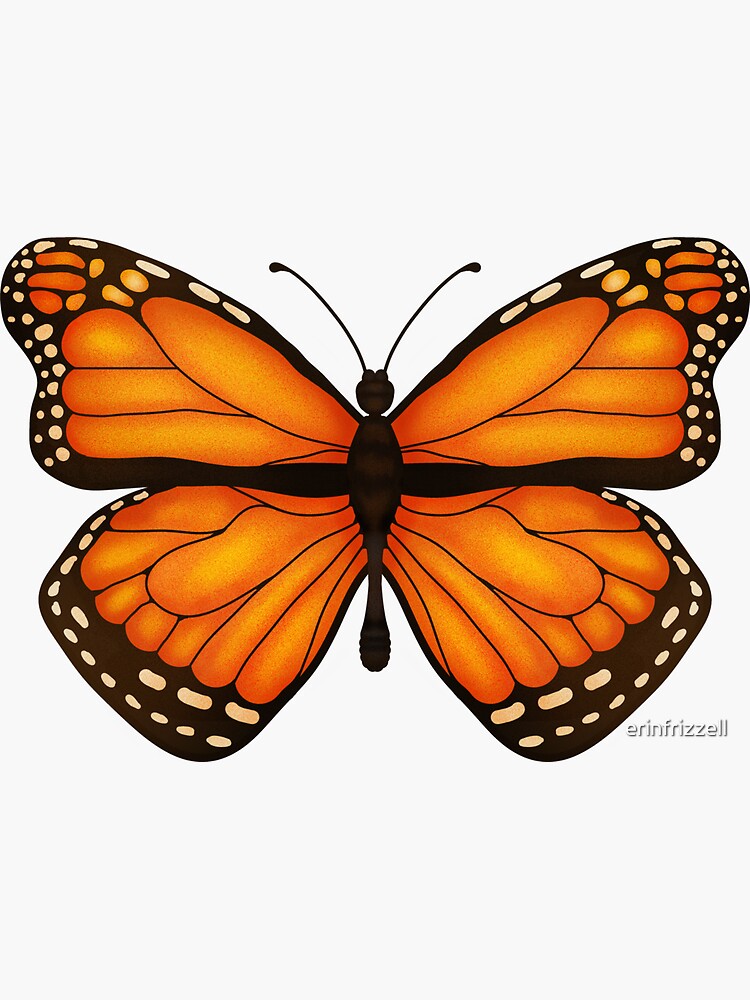 Monarch Butterfly Sticker For Sale By Erinfrizzell Redbubble 