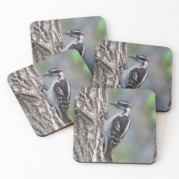 Item preview, Downy Woodpecker on Tree designed and sold by TheSplitWindow.