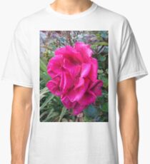 Pink Rose Classic T-Shirt