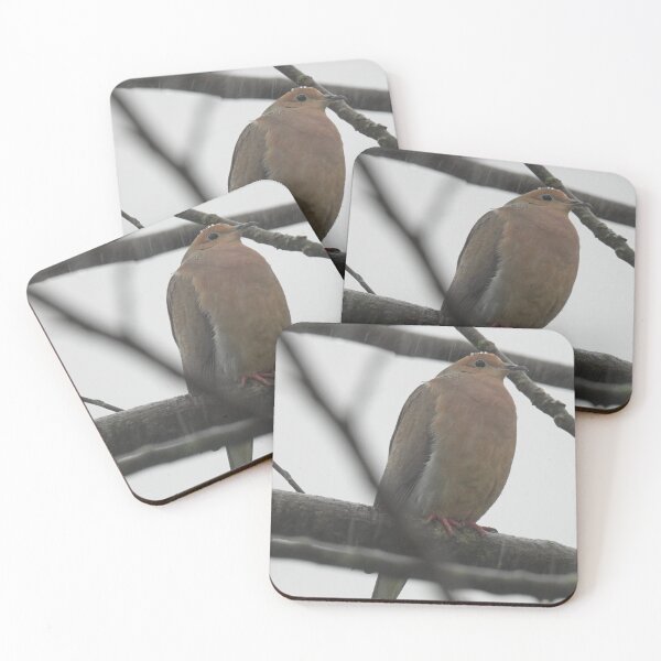 Item preview, Stoicism - Mourning Dove in Rain designed and sold by TheSplitWindow.
