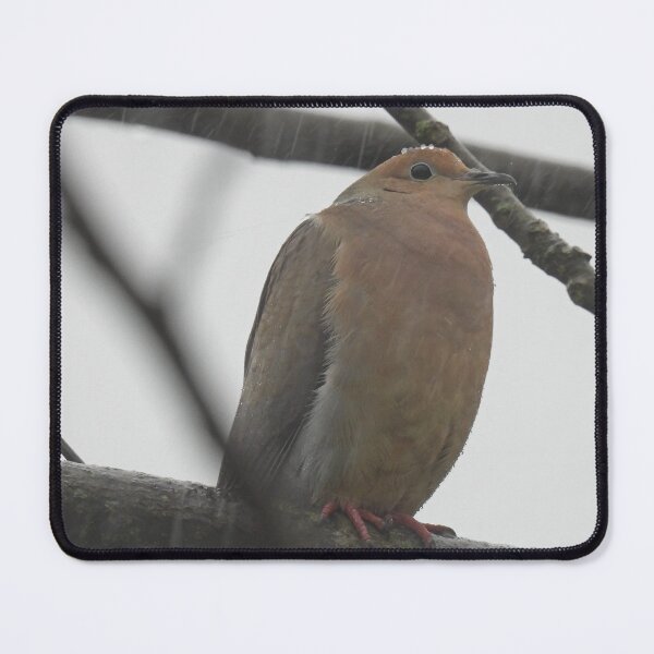 Item preview, Stoicism - Mourning Dove in Rain designed and sold by TheSplitWindow.