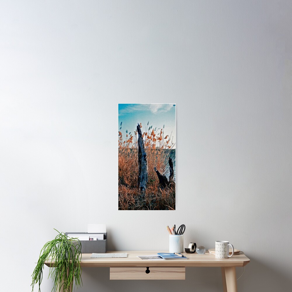 Item preview, Poster designed and sold by Aisat13.
