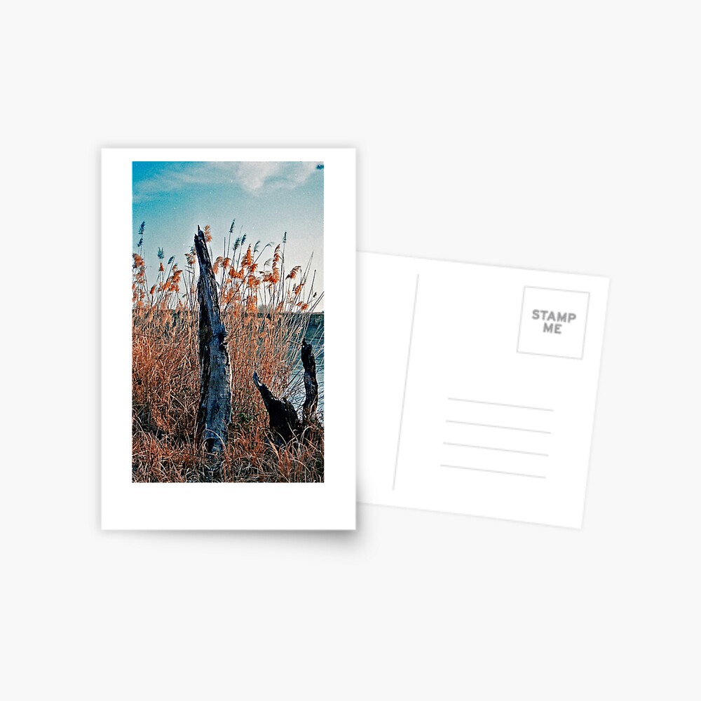 Item preview, Postcard designed and sold by Aisat13.