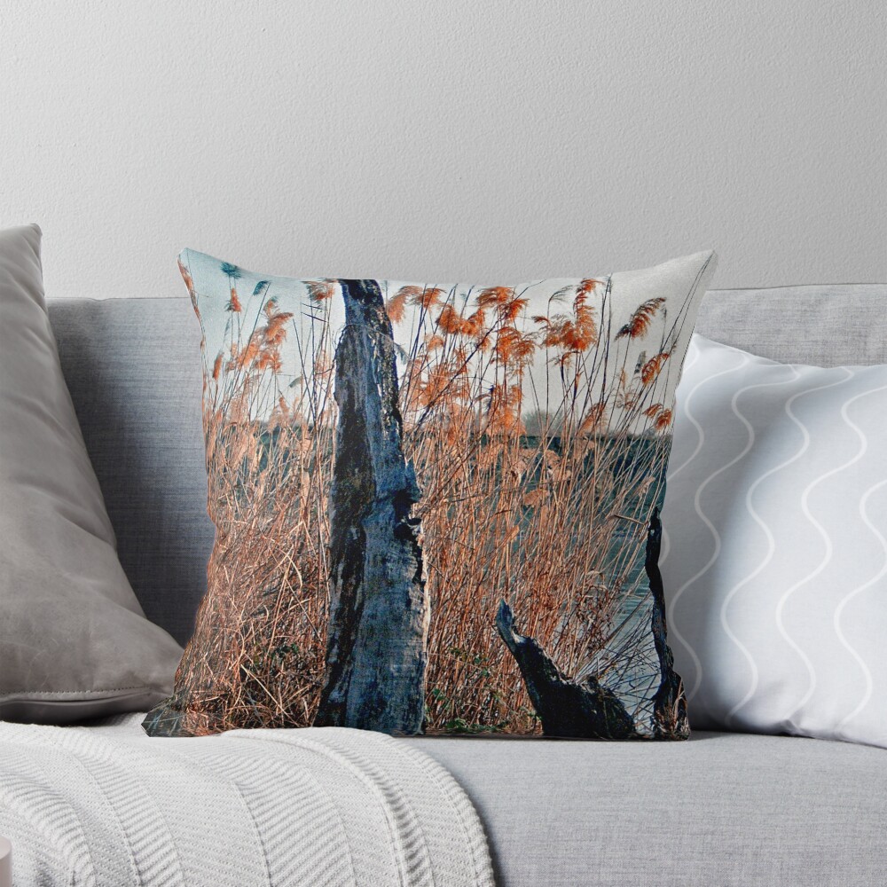 Item preview, Throw Pillow designed and sold by Aisat13.