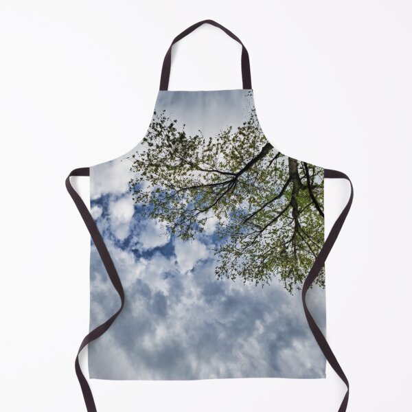 Aperçu de l'œuvre Look Up - Arbre dans le ciel bleu avec des nuages créée et vendue par TheSplitWindow.