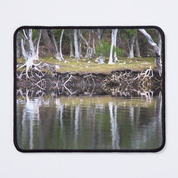 Item preview, Reflections Along Melaleuca Creek designed and sold by Carole-Anne.