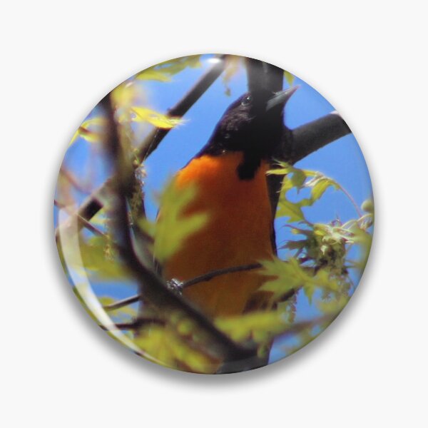 Artikelvorschau, BALTIMORE ORIOLE 1 entworfen und verkauft von BOLLA67.