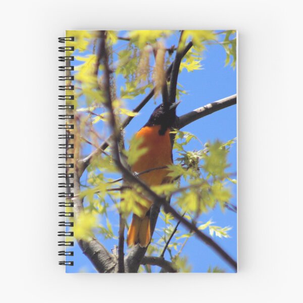 Artikelvorschau, BALTIMORE ORIOLE 1 entworfen und verkauft von BOLLA67.