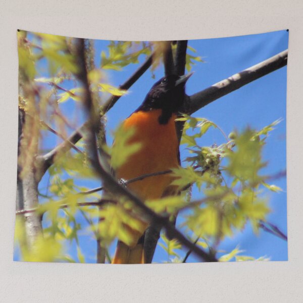 Artikelvorschau, BALTIMORE ORIOLE 1 entworfen und verkauft von BOLLA67.