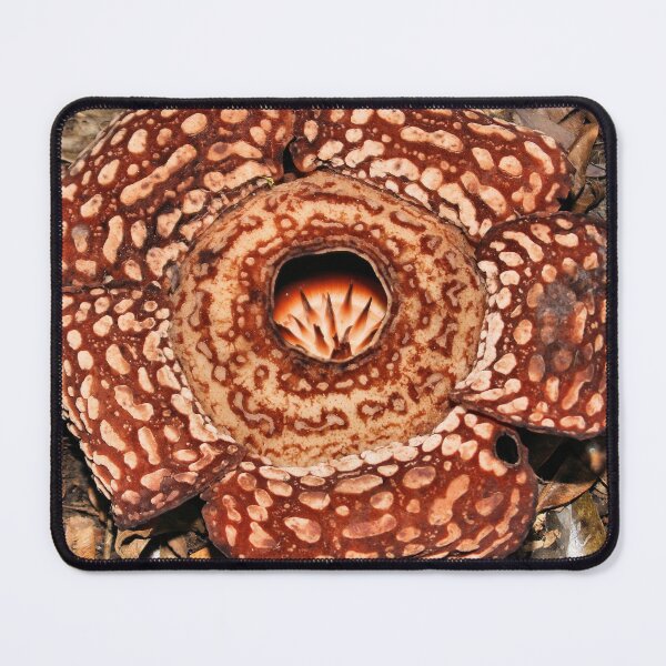 Item preview, Male Rafflesia pricei Flower designed and sold by Carole-Anne.