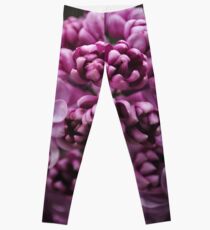 Lilac Leggings
